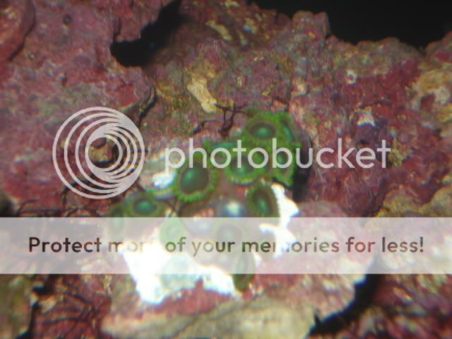 DSC06568.jpg