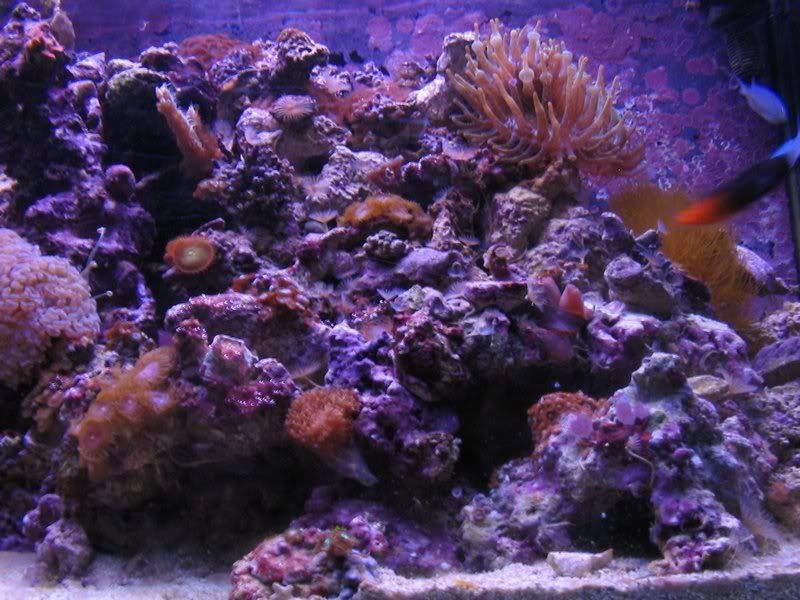 2-23-07February109.jpg