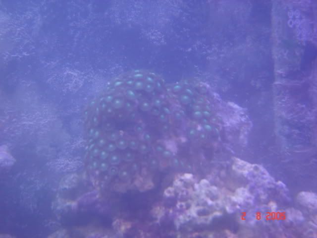 DSC00836.jpg