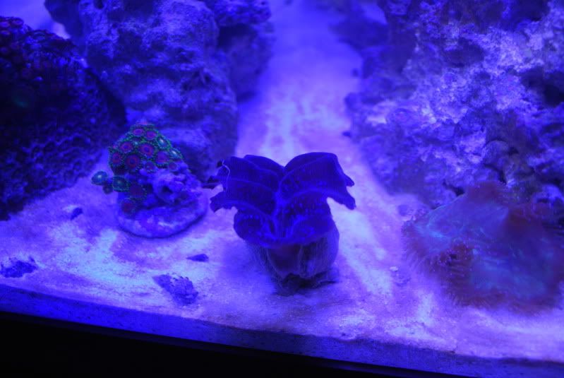 DSC_2337.jpg