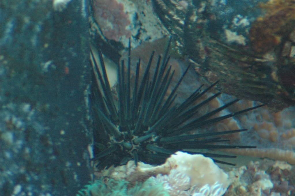 DSC_8120.jpg