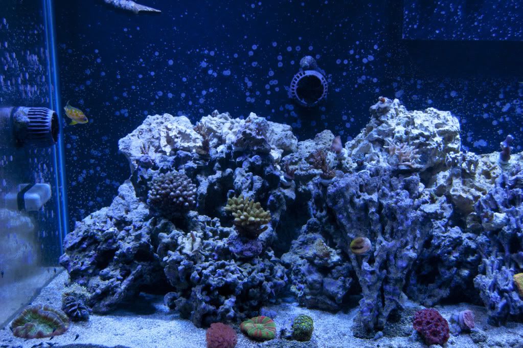 DSC_0051.jpg