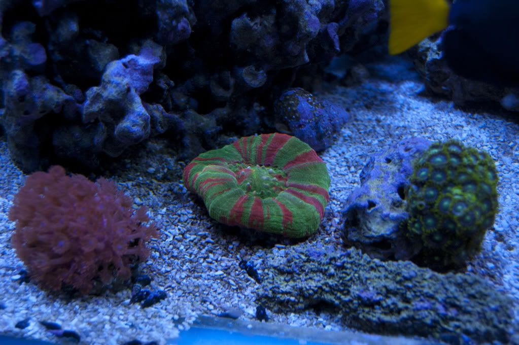 DSC_0077.jpg