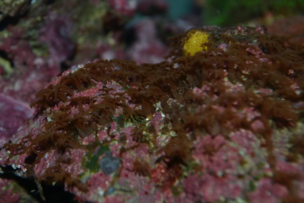 DSC_0036.jpg