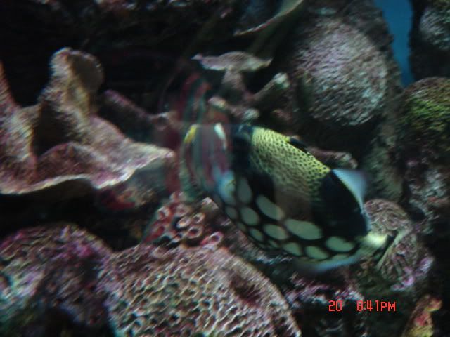 DSC01396.jpg