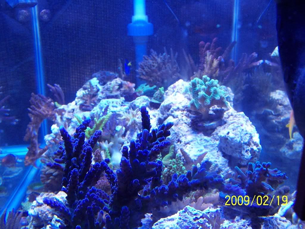 100_4942.jpg