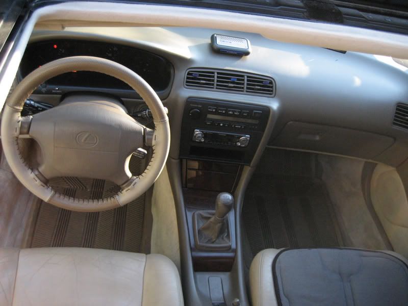 img0713fq7.jpg