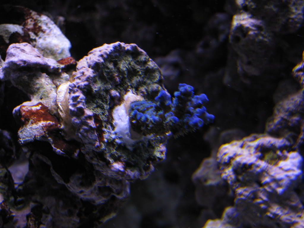 IMG_0262.jpg