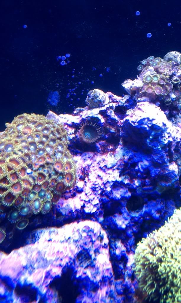 IMAG0044-1.jpg