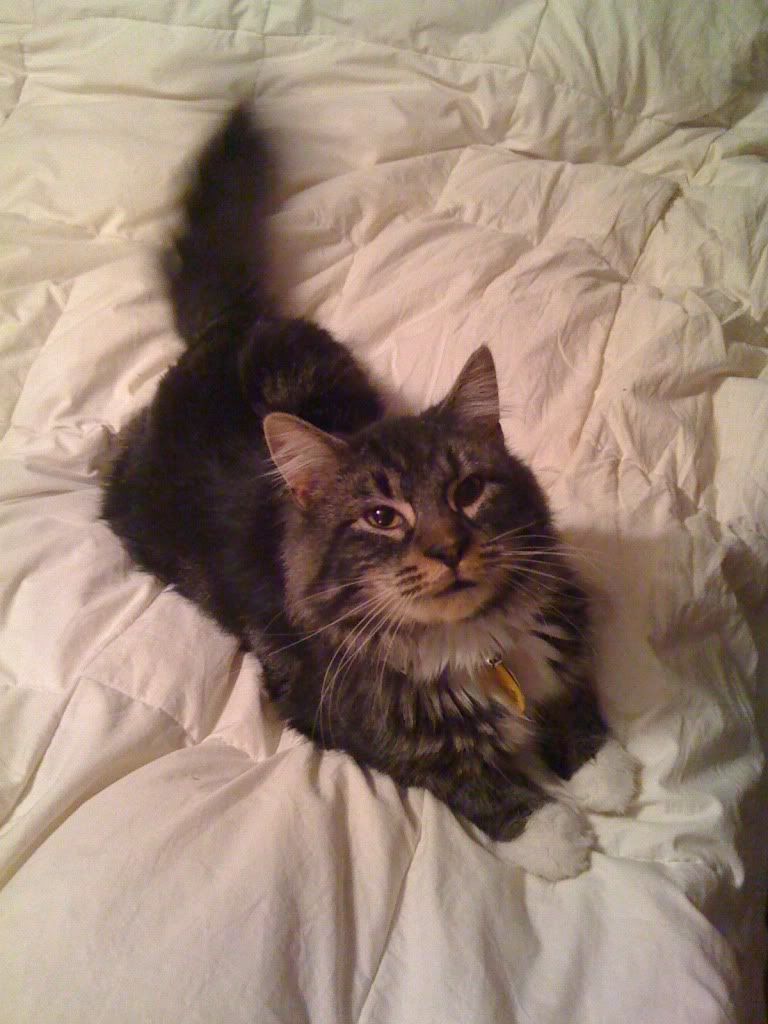 IphonePics030.jpg