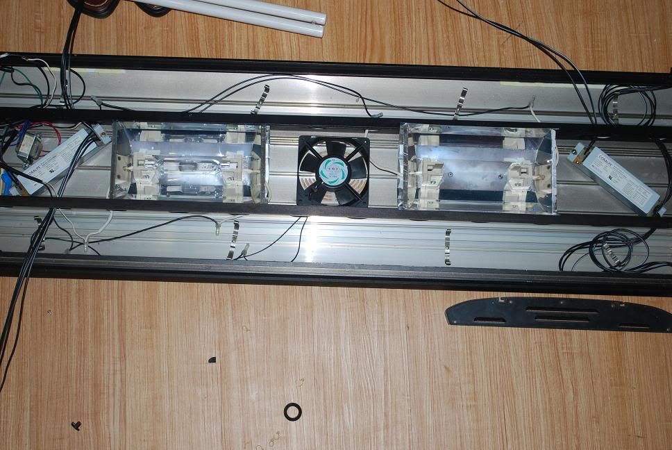 LightPic2.jpg