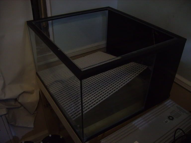 Aqua_1_07010.jpg