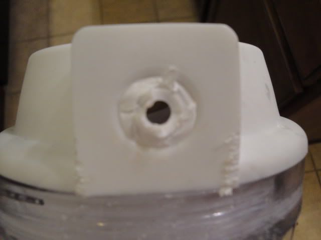 DSC01256.jpg