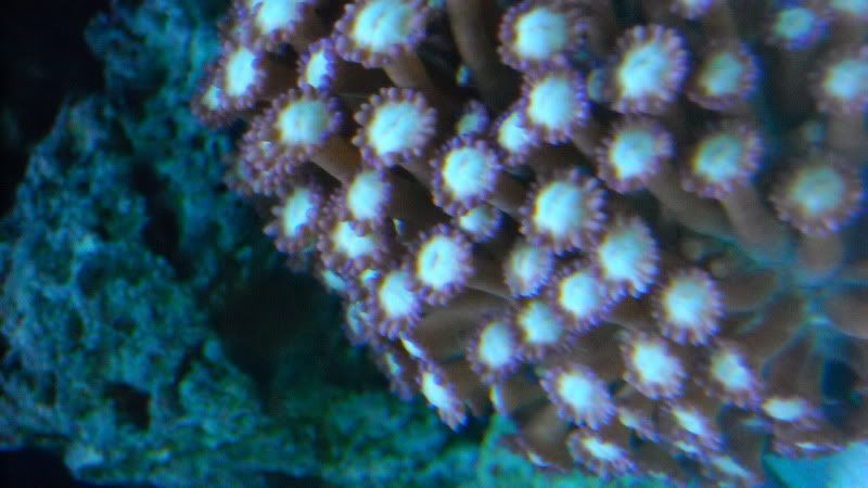 DSCN0662.jpg