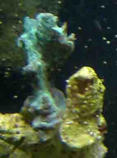 GH_3-15-09.jpg