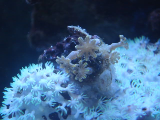 DSC03886.jpg