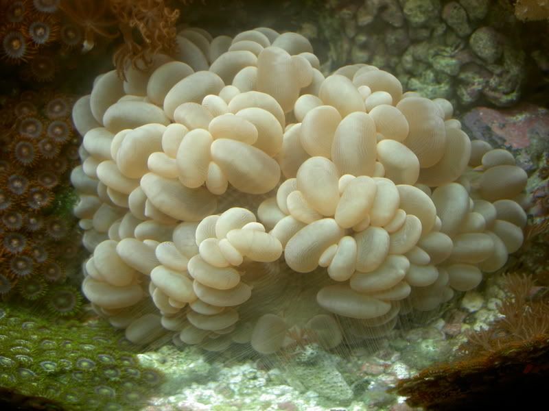 PICT5845.jpg