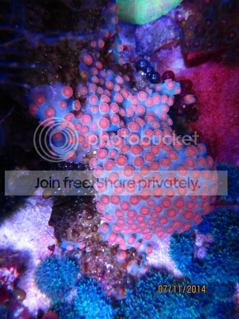 IMG_3467_zpsfe5e4659.jpg