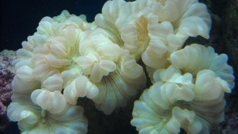 DSCN0819.jpg
