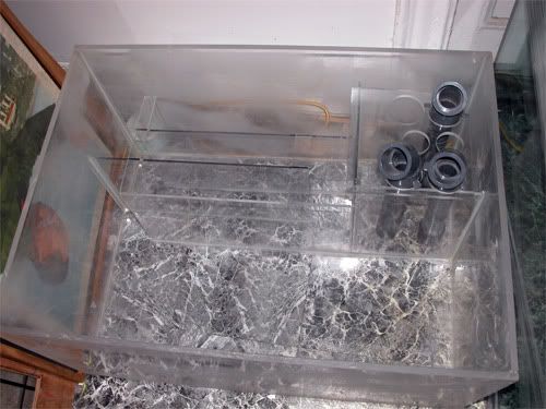 DSCN1264.jpg