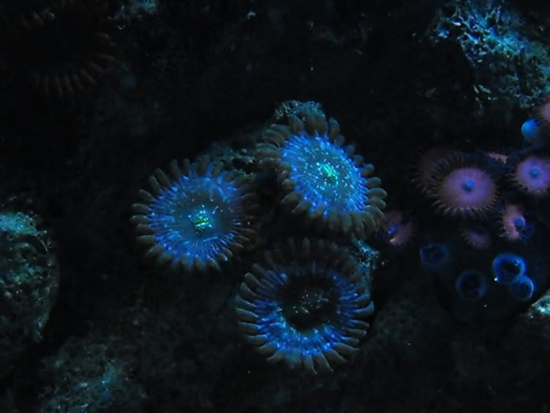 DSCF0991.jpg