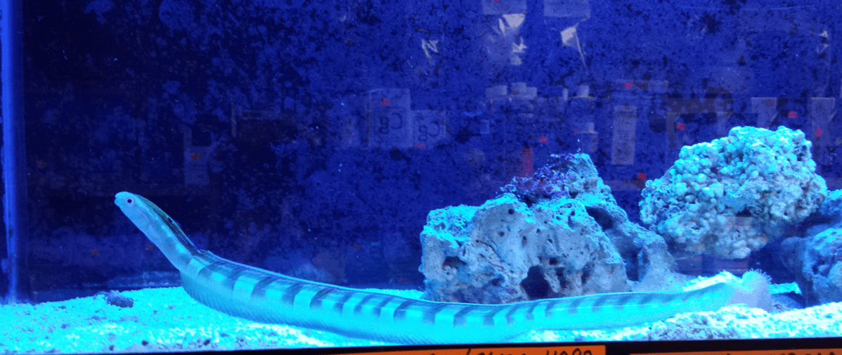 2013-05-31155024_zpsc23512d8.png