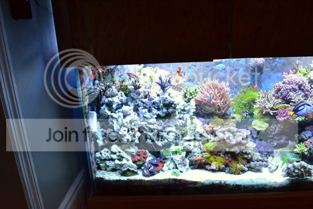 d3100newrockwork041.jpg