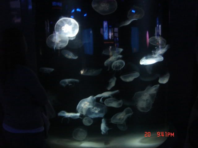 DSC01477.jpg