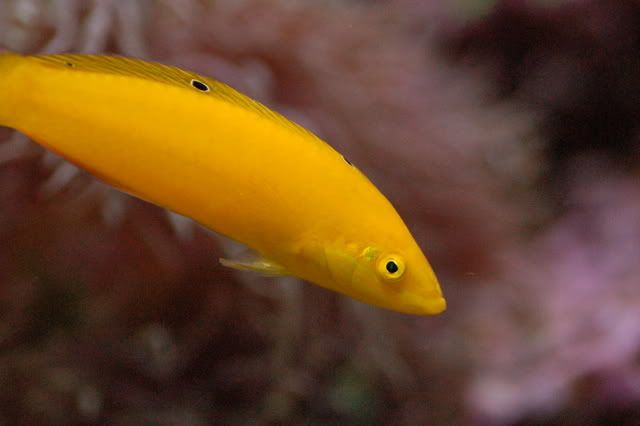 120g_026.jpg