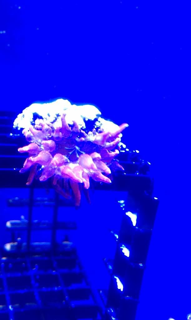 IMAG0907.jpg