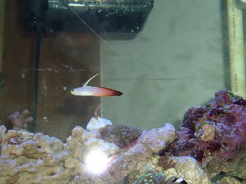 DSCF0344.jpg