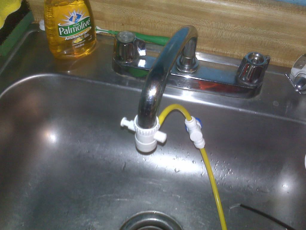 IMG00031.jpg