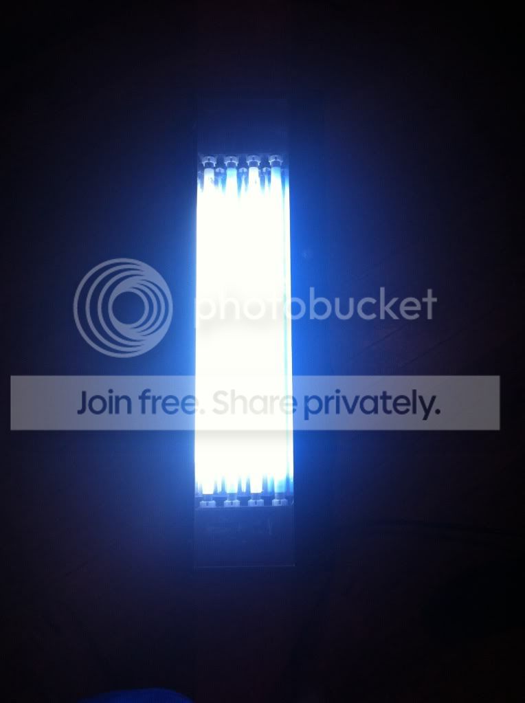 null_zps2e4b798c.jpg
