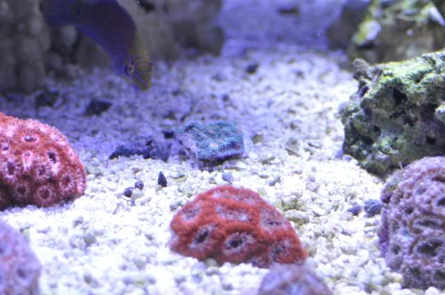 DSC_0082.jpg