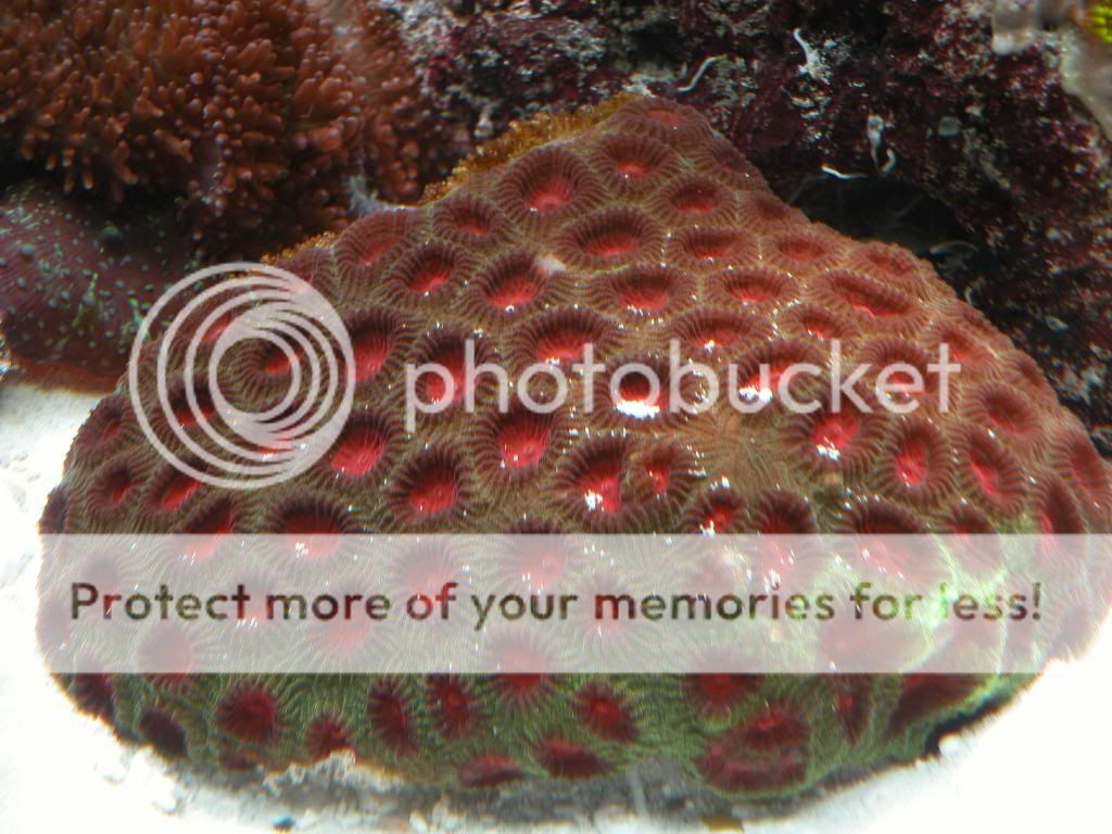 DSCN4227.jpg