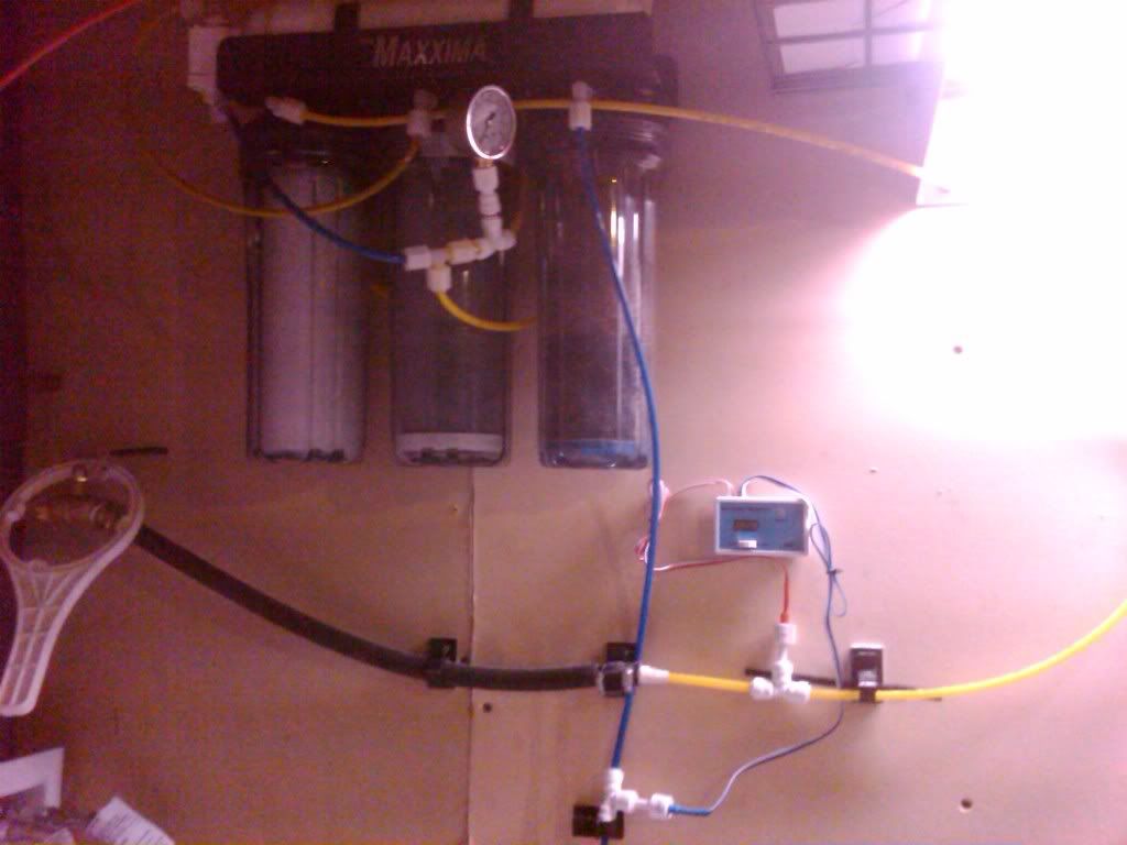 IMG00373-20100123-1933.jpg