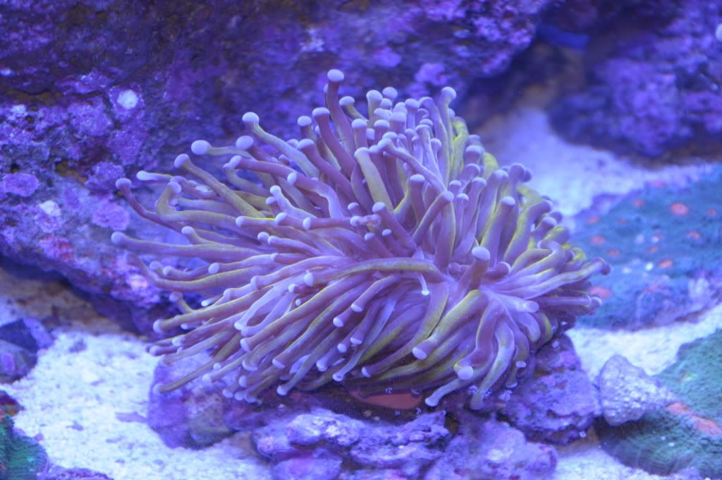 DSC_0187.jpg