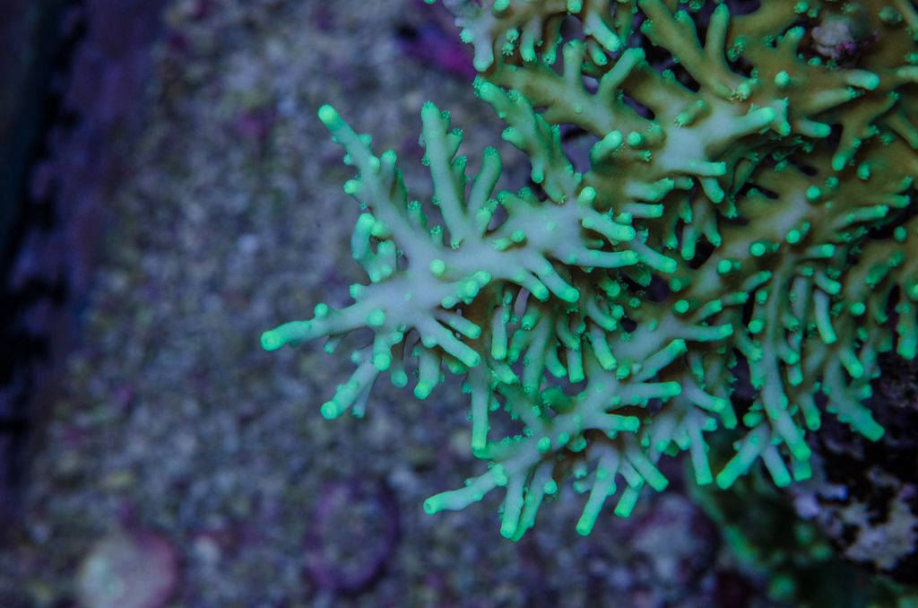 DSC_1528.jpg