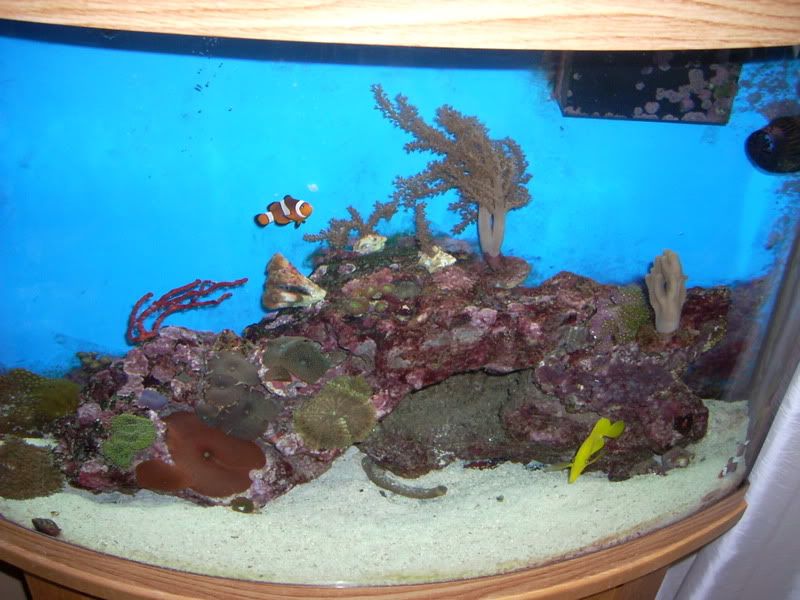 DSCN1513.jpg