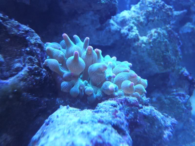 DSCF1091.jpg