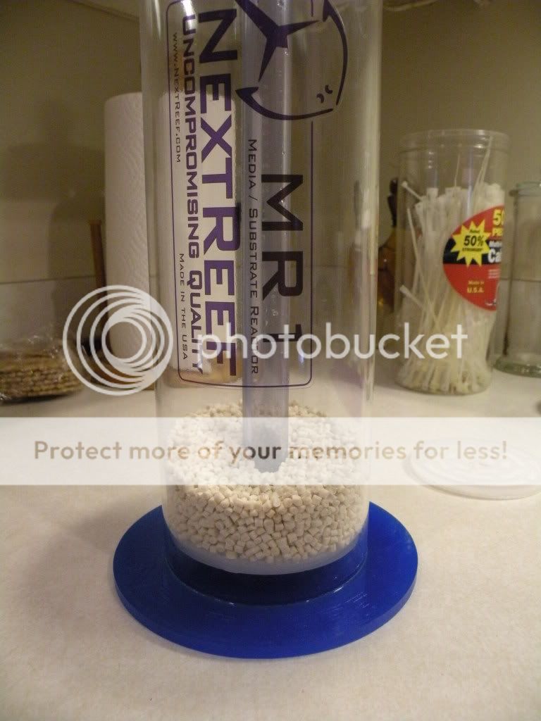 DSCN5711.jpg
