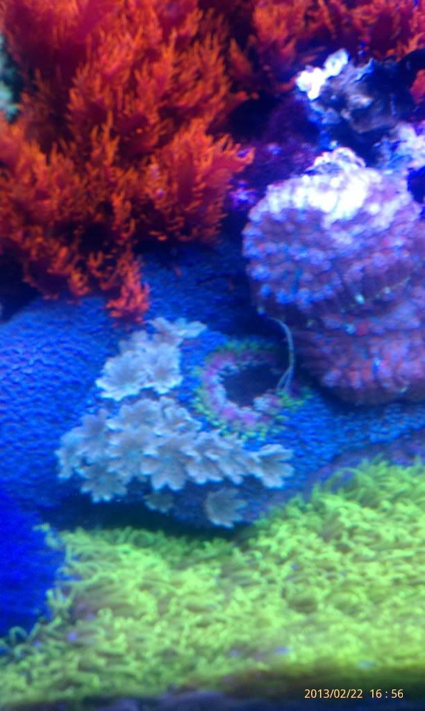 IMAG1148_zpsf7cdb066.jpg