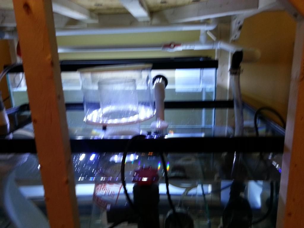 20121209_165354.jpg