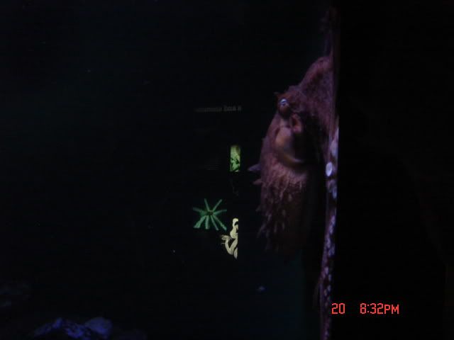 DSC01371.jpg