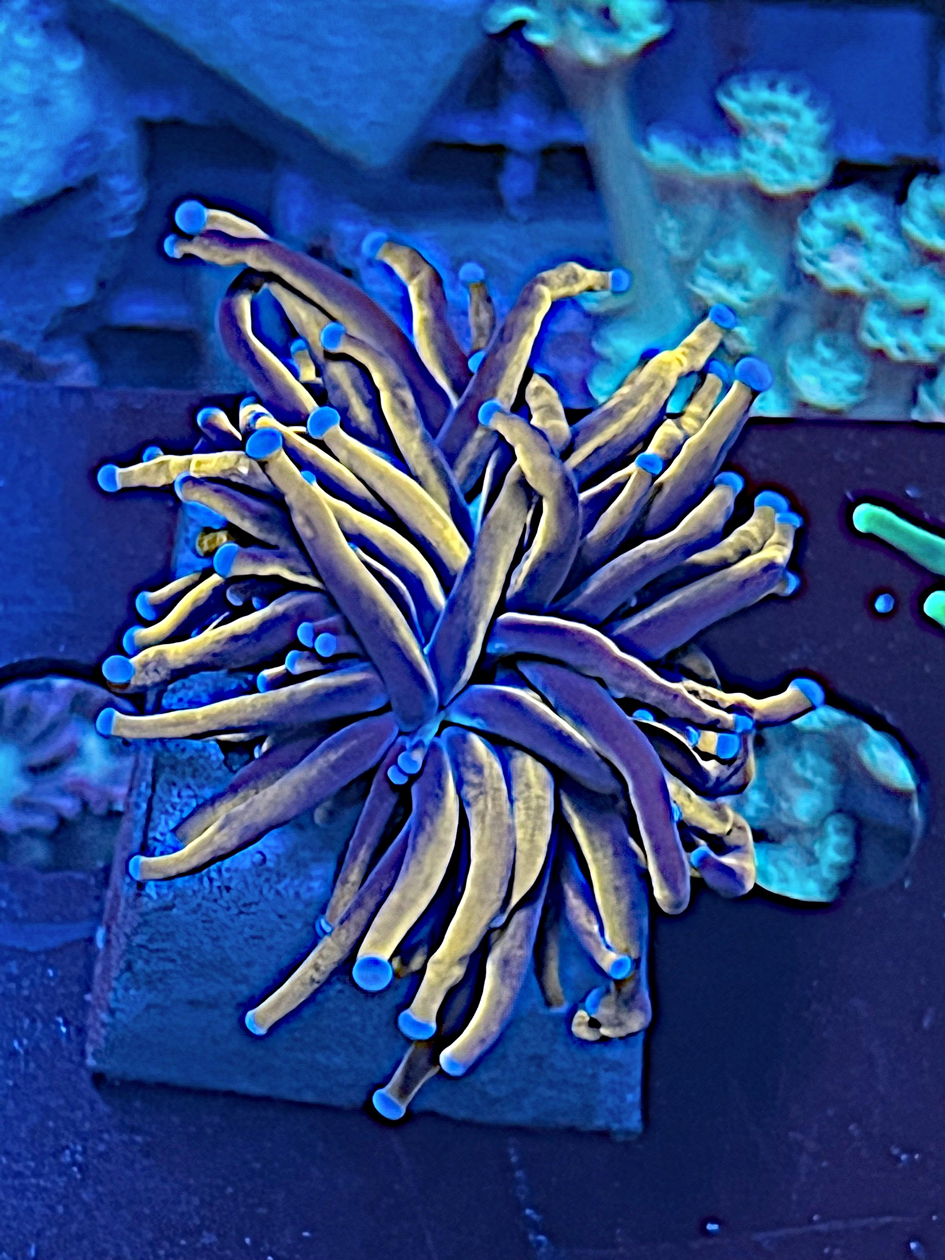 2e3231bc9bb7a276faf7f4901b428204.jpg