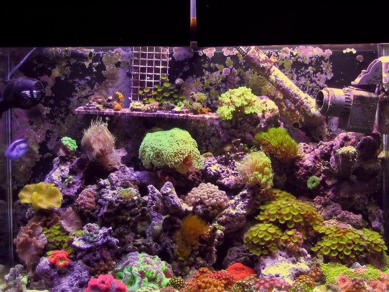 65g_023.jpg