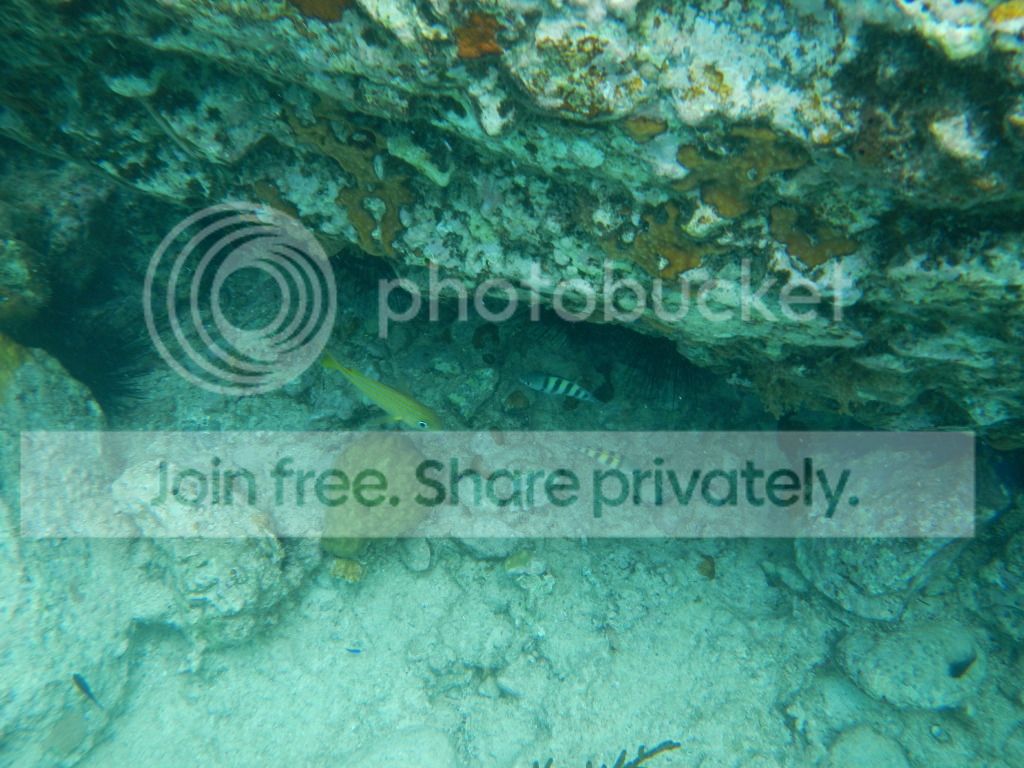 DSCN0500.jpg