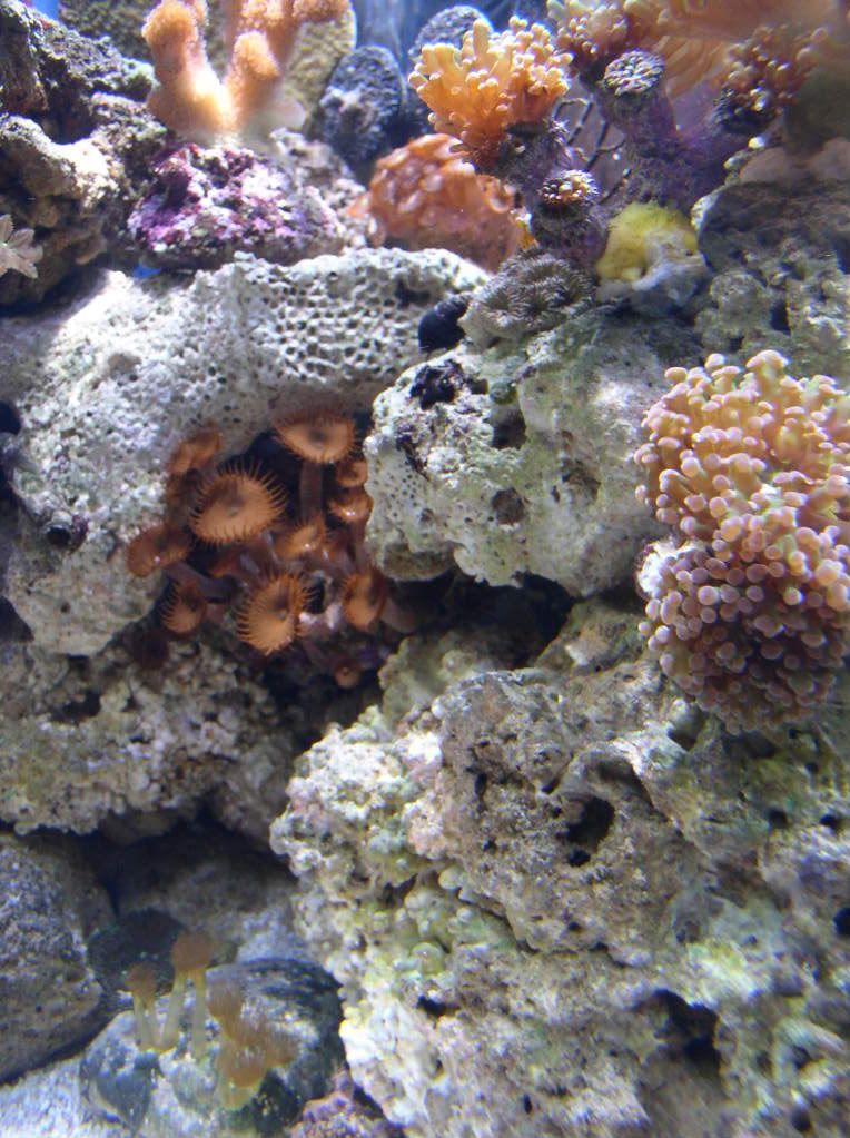 P1010039.jpg