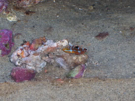 HPIM0973.jpg