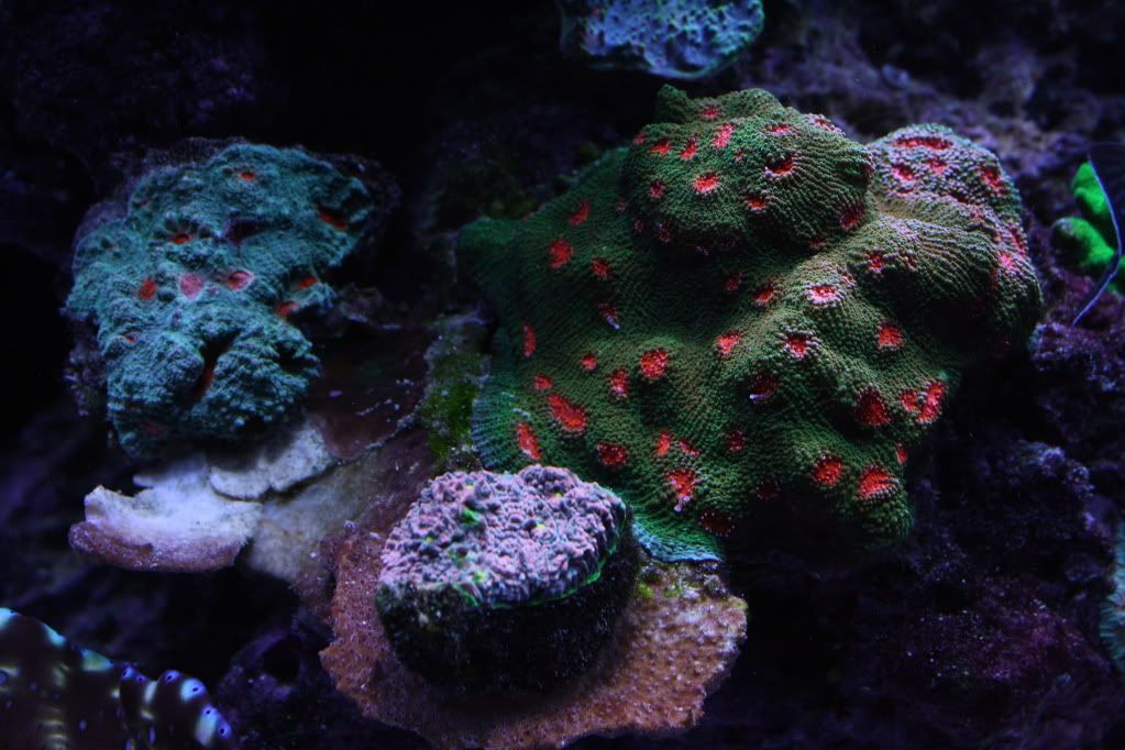 IMG_7867.jpg